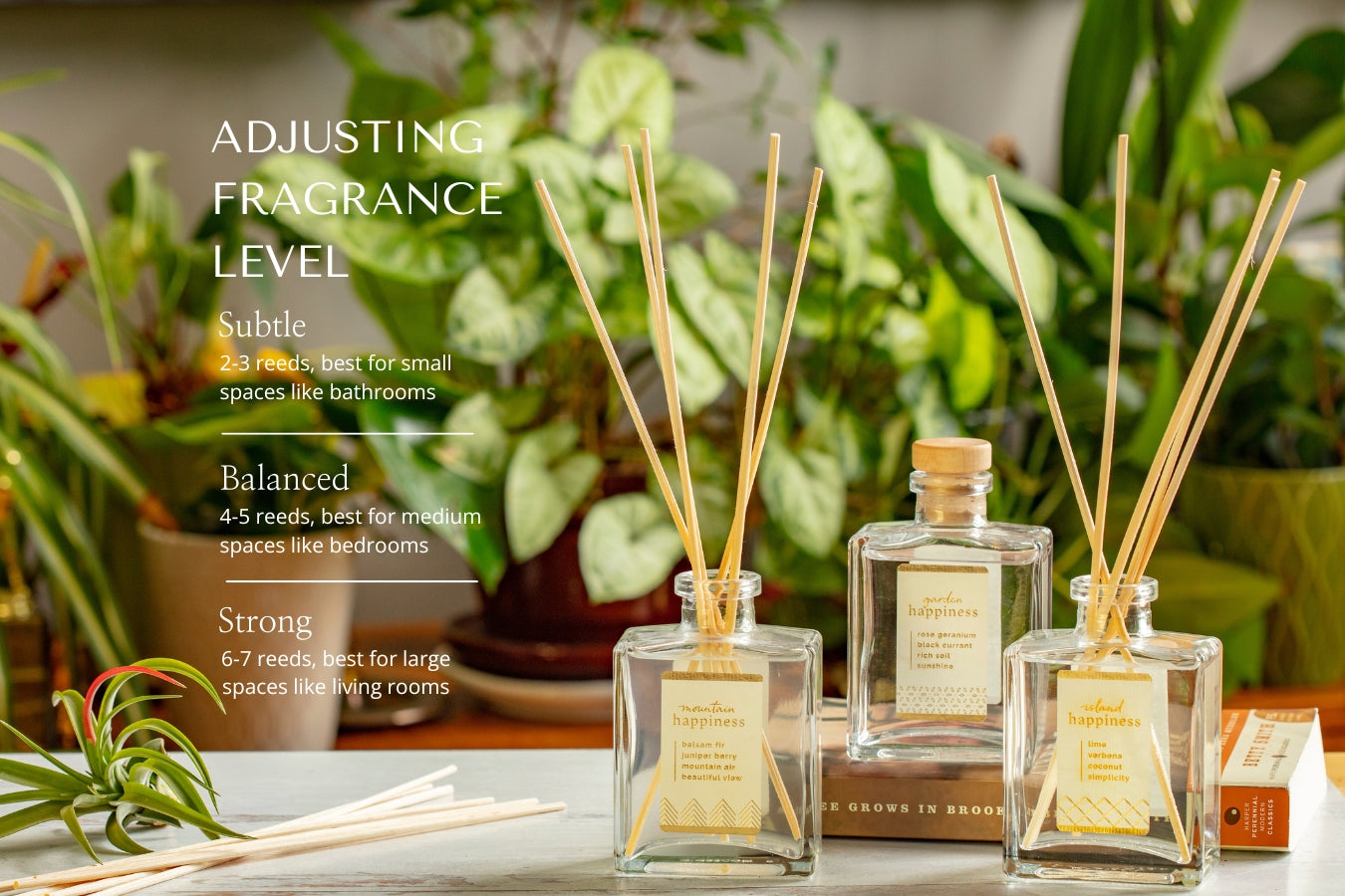 Happiness Reed Diffusers