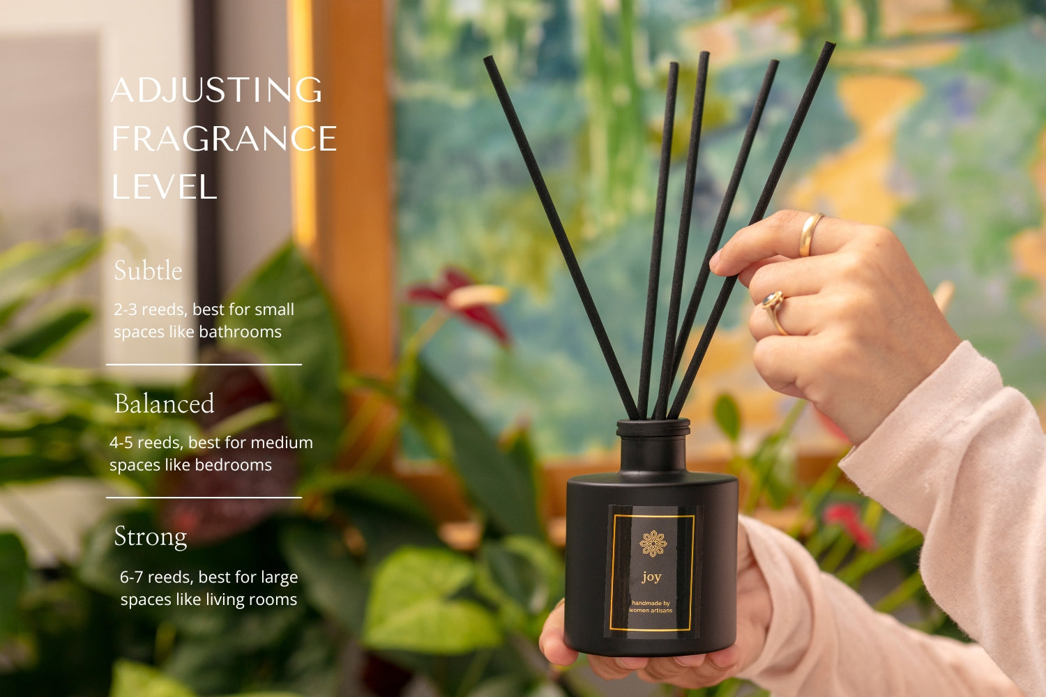 Solidarity Reed Diffuser