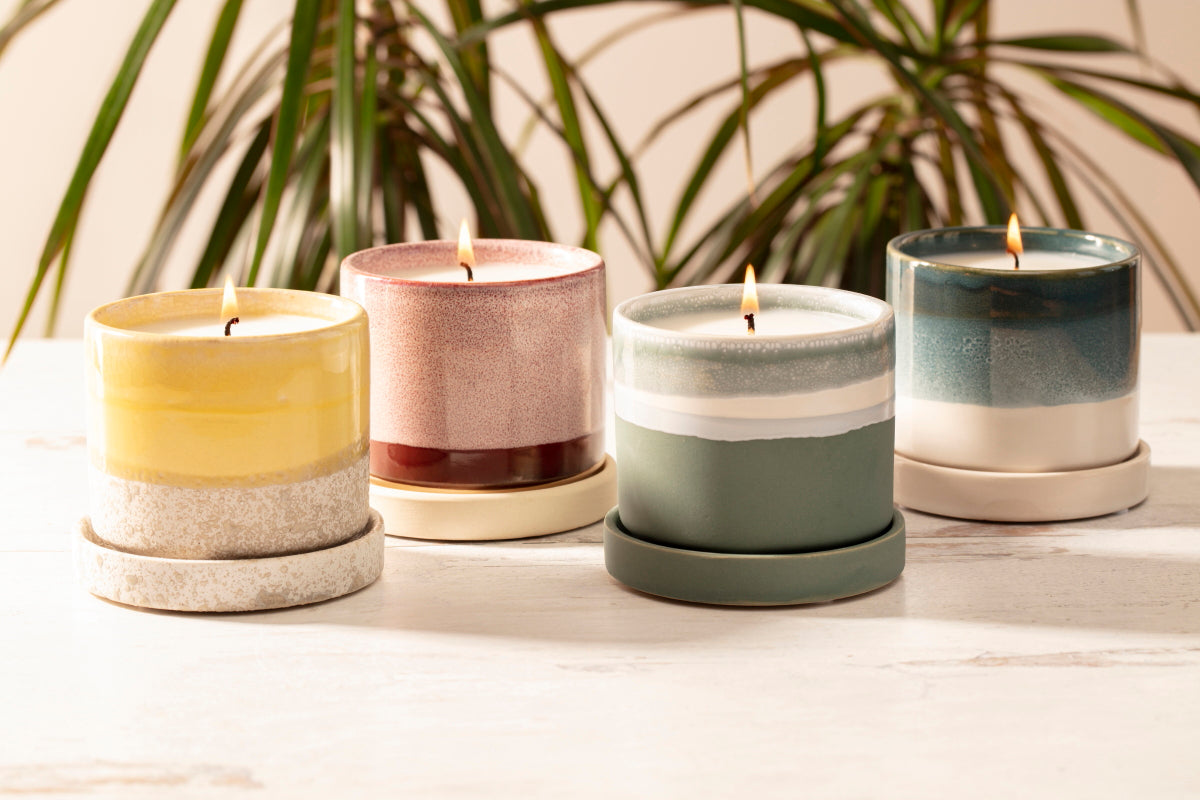 plant pot candles Terrace Collection - Patio and Garden Candle