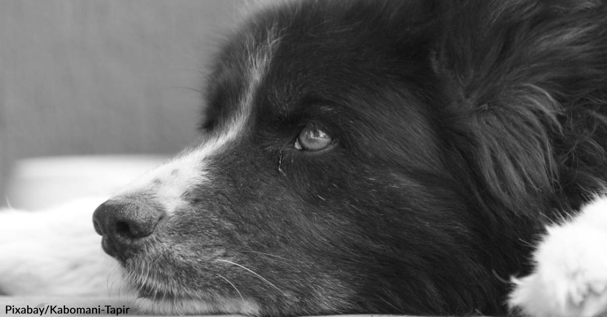 With a Difficult Start to 2026, We Look for Light