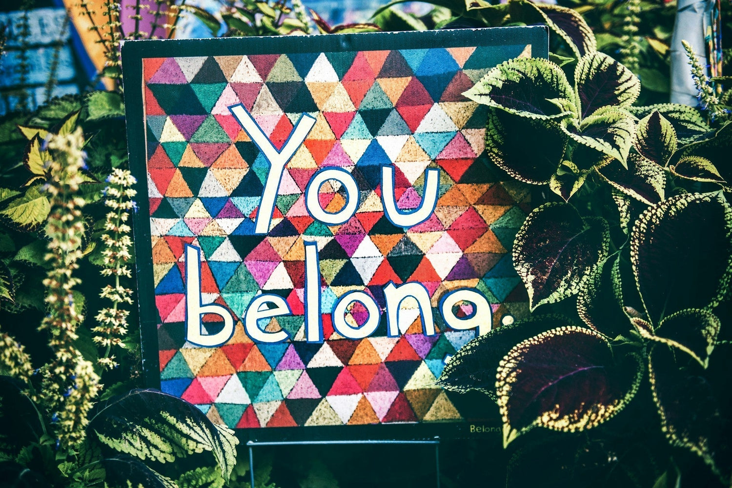 You Belong Here: Celebrating Immigrants, Refugees and Foreign Students