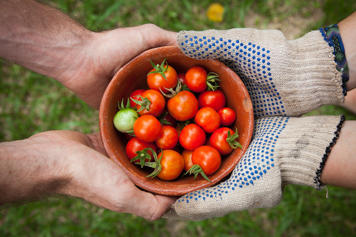 Deepening Our Relationships With Fair Trade Organizations | Prosperity Candle