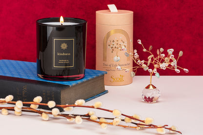 Radiant Reflections Gift Set