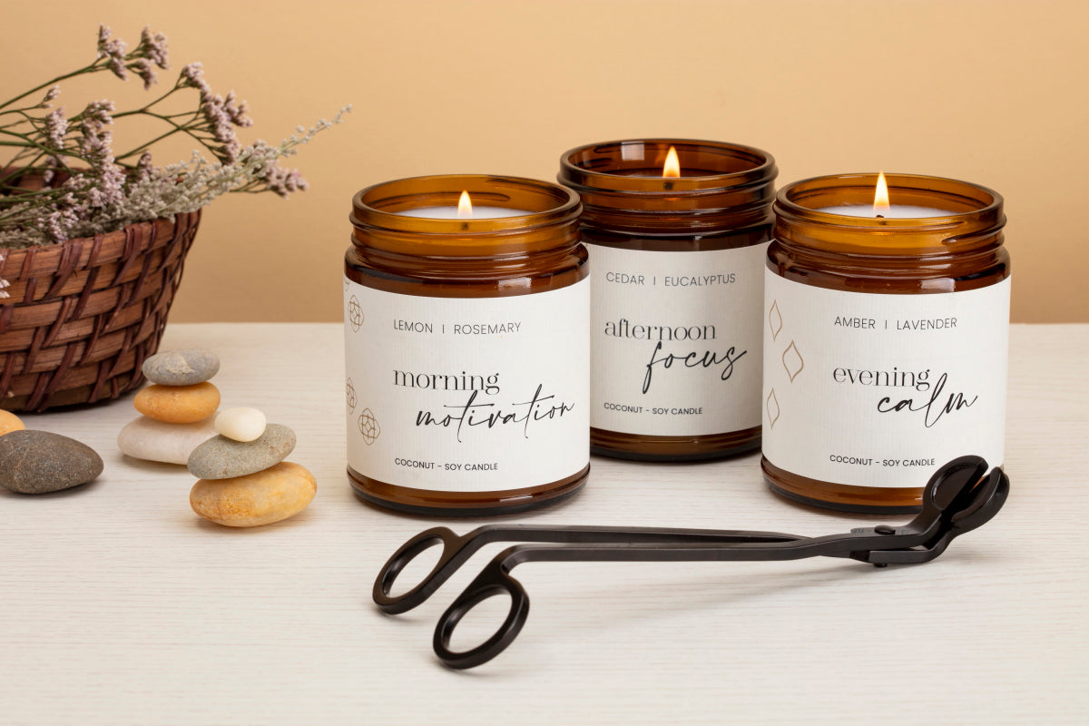Daily Ritual candles and Gift Set: Luxury Soy Candle Gift Set ...